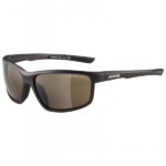 Alpina - Defey Mirror Cat 3 - Fahrradbrille grau