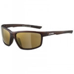 Alpina - Defey Mirror Cat 3 - Fahrradbrille grau