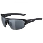 Alpina - Lyron HR Mirror S3 - Fahrradbrille grau