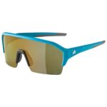 Alpina - Ram HR HM+ Hicon Mirror Cat 3 - Fahrradbrille bunt