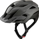 Alpina Stan Mips Fahrradhelm (51-55 cm, 31 coffey/grey matt)