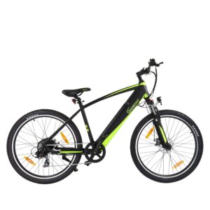 E-Racing Mountain Bike R8 Flex II - schwarz / 29 Zoll