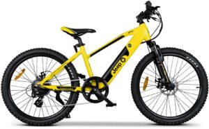 Jeep E-Bikes E-Bike "TR 7002", 7 Gang, Heckmotor 250 W, (mit Akku-Ladegerät)