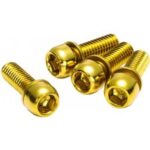 Schraubensatz Für Rückwärtsbremsenadapter M6x18mm Gold