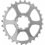 Letzte Position 10v Campagnolo 29d Ritzel