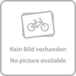 Radachsen-endkappen-set hinten zipp cognition center locking quick release campy di