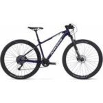 Mtb level 4.0 man 29" blau/weiss grösse l