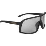 LANDER EVOLUTION SCHUTZBRILLE GROSS SCHWARZ