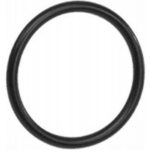 O-ring