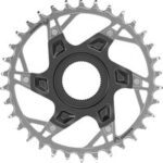 Sram T-Type XX Eagle Fazua 34T Direktmontage für FAZUA Ride 60