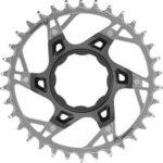 Sram Kettenblatt T-Type XX Eagle TQ 34T Direktmontage 12-fach